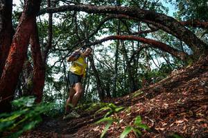 BIB: 
                            <button type="button" onclick="openModal(26346973)" class="btn btn-primary btn-sm float-right btn-popup" data-toggle="modal" data-target=".modal-high-quality">
                        <i class="fas fa-shopping-cart"></i> Add to Cart
                    </button>
                                            <button type="button" onclick="isThisMe(26346973, true)" class="btn btn-success btn-sm float-right btn-popup btn-isme hidden" data-toggle="tooltip" data-placement="bottom" title="นี่คือรูปของคุณใช่ไหม คลิกที่นี่เพื่อเอาเข้าอัลบั้ม">
                        <i class="fas fa-plus"></i> Add to album
                    </button>
                    <button type="button" onclick="isThisMe(26346973, false)" class="btn btn-warning btn-sm float-right btn-popup btn-isnotme hidden">
                        <i class="fas fa-ban"></i> Remove from album
                    </button>